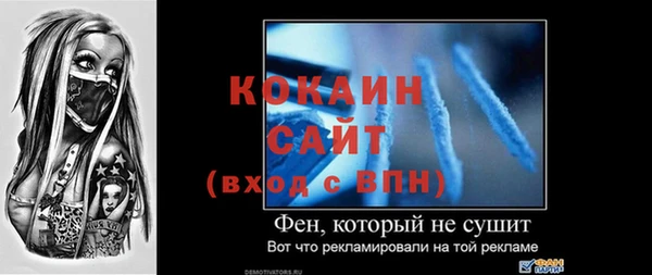 тгк Вяземский