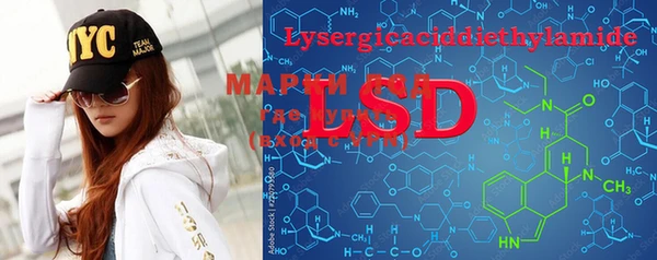 тгк Вяземский