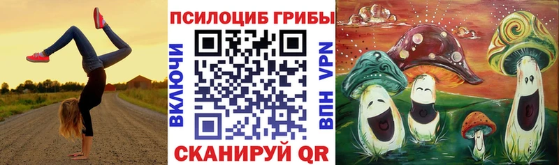 Галлюциногенные грибы прущие грибы  наркота  Рузаевка 