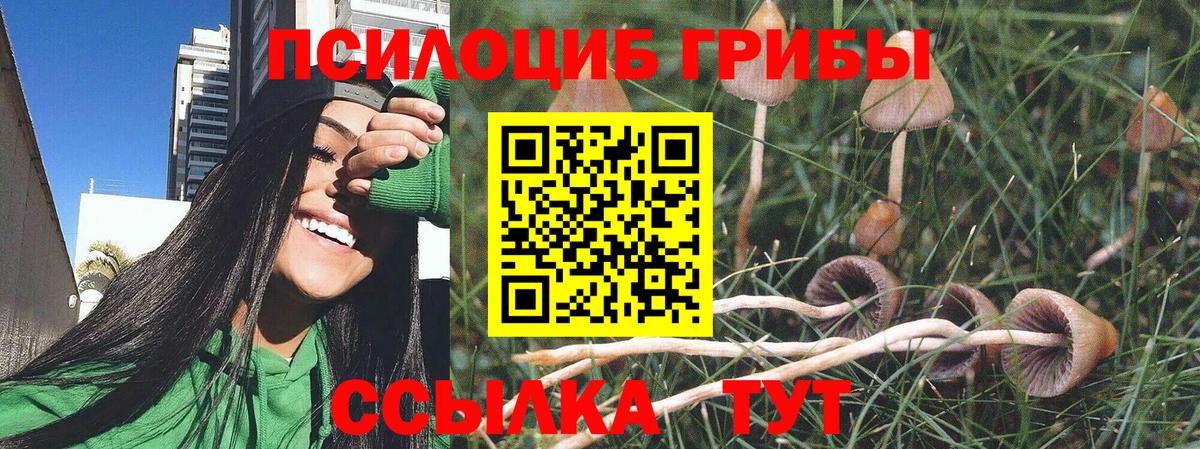 Рузаевка  Псилоцибиновые грибы Psilocybe  Вход с VPN 