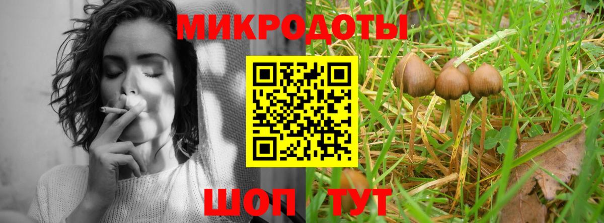 Псилоцибиновые грибы GOLDEN TEACHER Рузаевка